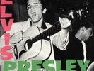 ELVIS PRESLEY RARE Self-Titled 1st LP LPM-1254 mono EX