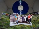 COLOR HAZE LP265 MADE desert sessions dozer stoner rock