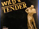 Dane Sturgeon - Wild 'n' Tender - Garage Folk Psych