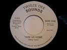 DANNY TUCKER - TAKE US HOME - TWIGZE SOUNDS