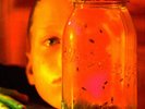 Alice in Chains - Jar of Flies / SAP Coloured & Limited