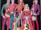 FOTHERINGAY same PINK ISLAND GER. '70 PSYCH FOLK LP