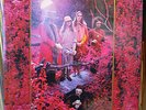 CAPTAIN BEEFHEART & MAGIC BAND Grow Fins V2 SEALED 2XLP