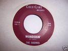 THE SQUIRES WONDERIN'/PIECES RARE GARAGE 45 LISTEN
