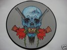 Picture Disc Vinyl  LP  Metallica: Evil Never Dies