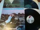 The Soft Boys 2 LP Underwater Moonlight Invisible Hits