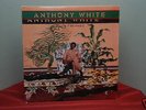 ANTHONY WHITE  Could It Be Magic  *Orig 1975 LP Mint-*