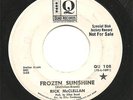 RARE PSYCHE- RICK McCLELLAN - 