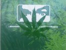 BONGZILLA Methods For Attaining Extreme Altitudes ltd e