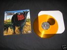 BLINK 182 Dude Ranch LP CLEAR ORANGE SOLD OUT Rare
