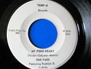 THE FADS  RARE GARAGE WITH RARE PICTURE SLEEVE