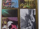 SONIC YOUTH – SISTER – SST original cover