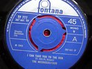 THE MISUNDERSTOOD - I CAN TAKE YOU TO THE SUN 7