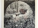 SEARCH PARTY Montgomery Chapel OG Psych Grail RARE mp3