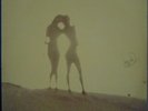 LULI & LUCINHA Psych Folk Vocal Duo LP BRAZIL HEAR