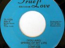 rare Soul 45 COMPASS on TRUE LOVE Listen