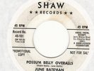 Northern Soul JUNE BATEMAN 