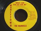 GROUP SOUL Mandells What Can You Do For Me 45 Moneytown