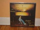 Vic Chesnutt - About to Choke LP - Rare VG Out of Print