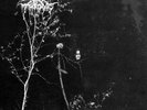 DARKTHRONE UNDER A FUNERAL MOON RARE VINYL LP BURZUM