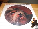 Warren Zevon Werewolves Picture Disc Roland Promo only