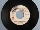 Garage punk Roy Junior Victim of Circumstances Hickory