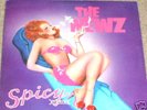THE NEWZ Spicy Stories LP PRIVATE ND ROCK AOR RARE hear