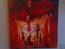 Desaster-Hellfires Dominion LtdLP(Burzum, Absurd)RAR