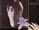 IAN NORTH: Rape of Orchids mLP minimal synth classic