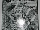 Deviated Instinct-Rock and Roll Conformity Vinyl LP