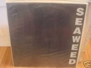 Seaweed Seaweed US LP 1990 sub pop nirvana