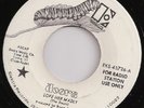 THE DOORS - WHITE LABEL DJ 45 - Love Her Madly - LISTEN
