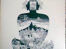 SATORI / FLOWER TRAVELLIN'BAND JAPAN PSYCH PROG POKORA