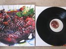 Animal Collective 