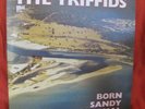 THE TRIFFIDS Born Sandy Devotional 1986 Australian ICON