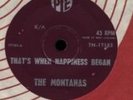 THE MONTANAS - THAT'S WHEN HAPPINESS BEGAN - FREAKBEAT