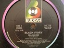 BLACK IVORY 