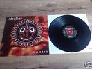 SHELTER - MANTRA LP YOUTH OF TODAY SxE PUNK CAPPO JUDGE
