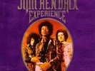 The JIMI HENDRIX EXPERIENCE on Vinyl