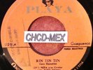 SALSA GUAGUANCO COLOMBIA *RIN TIN TIN* LATIN SABOR ???