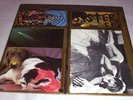 Sonic Youth : Sister, rare US Vinyl LP 1987