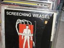 Pop Punk LPs 41 records Screeching Weasel vinyl rare