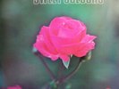 SWEET COLOURS RARE FRENCH SCATT LIBRARY NILOVIC ?