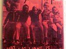 ARTICLES OF FAITH-WHAT WE WANT-HARDCORE PUNK 7' 45 EP-M