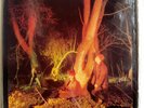 ECHO & THE BUNNYMEN-CROCODILES LP-MINT