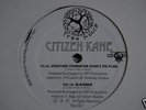 CITIZEN KANE 'STRUCTURE/FOUNDATION'  TREEHOUSE 1996  OG