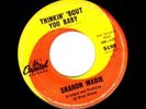 SHARON MARIE - 60s GIRL GROUP- BRIAN WILSON PRODUCED
