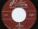 The Velvets 45 Red Robin 122 Doo-Wop I b/w At Last HEAR