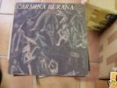 CARMINA BURANA EL TELAR DE LA LOCURA DECIMA VICTIMA