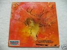 MOTHERHOOD Rare GER JAZZ KRAUT PROG ORIG. Lp 1970